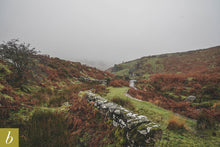 Load image into Gallery viewer, Dartmoor on November 21st 2020
