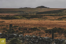 Load image into Gallery viewer, Dartmoor on November 23rd 2020
