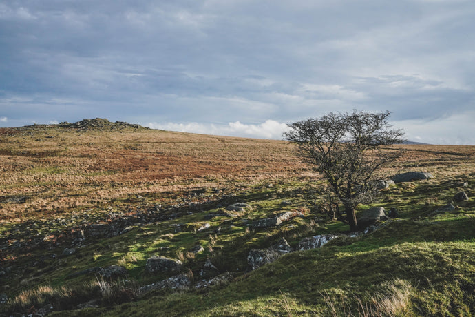 Dartmoor on November 24th 2020