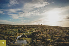 Load image into Gallery viewer, Dartmoor on November 25th 2020

