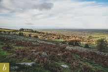 Load image into Gallery viewer, Dartmoor on November 25th 2020
