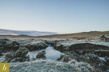 Load image into Gallery viewer, Dartmoor on November 26th 2020
