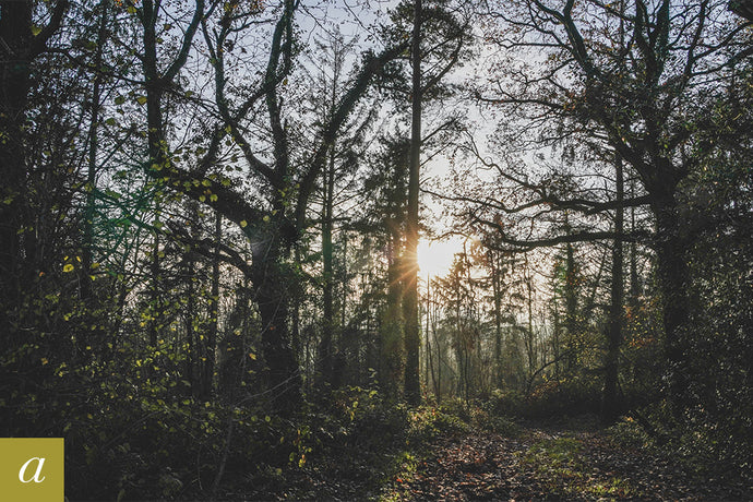 Dartmoor on November 29th 2020