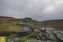 Load image into Gallery viewer, Dartmoor on November 8th 2020

