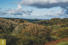Load image into Gallery viewer, Dartmoor on October 13th 2020
