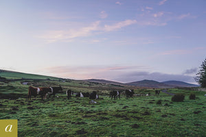 Dartmoor on October 16th 2020