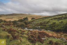 Load image into Gallery viewer, Dartmoor on October 22nd 2020
