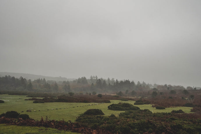 Dartmoor on October 24th 2020