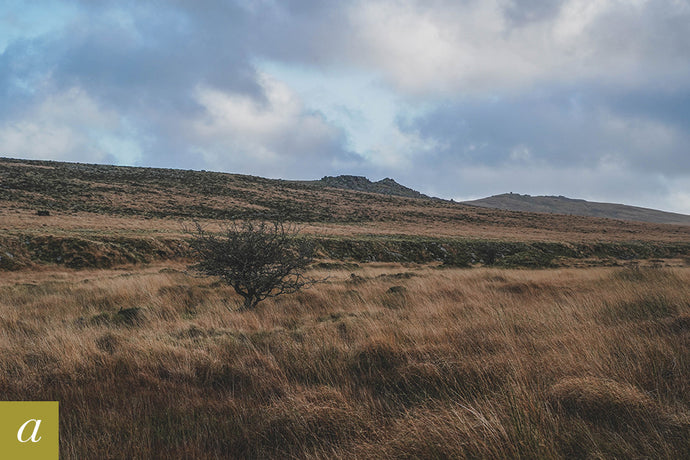 Dartmoor on October 27th 2020