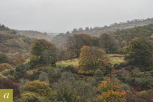 Load image into Gallery viewer, Dartmoor on October 29th 2020
