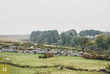 Load image into Gallery viewer, Dartmoor on October 4th 2020
