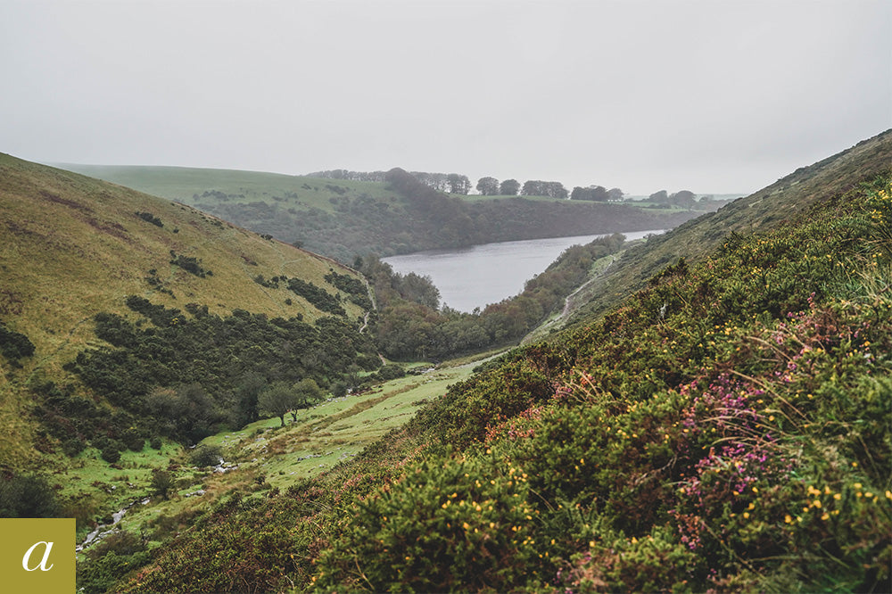 Dartmoor on October 5th 2020