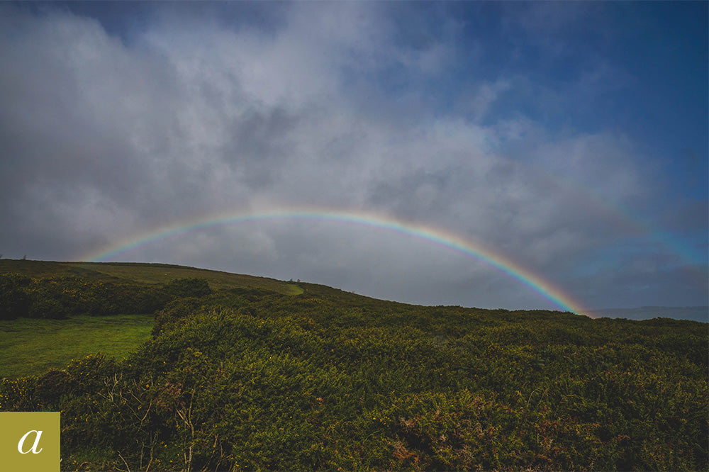 Dartmoor on October 6th 2020