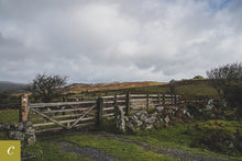 Load image into Gallery viewer, Dartmoor on October 6th 2020
