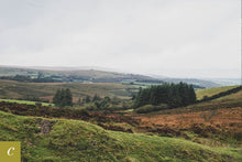Load image into Gallery viewer, Dartmoor on October 8th 2020
