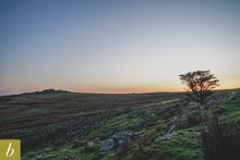 Load image into Gallery viewer, Dartmoor on October 9th 2020
