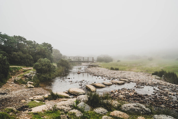 Dartmoor on September 15th 2020