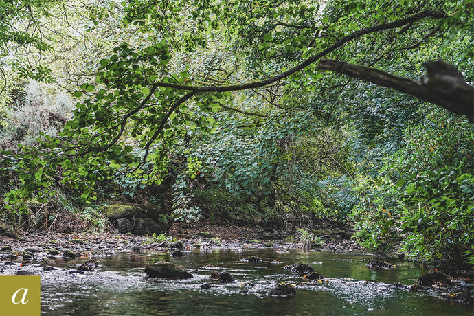 Dartmoor on September 28th 2020