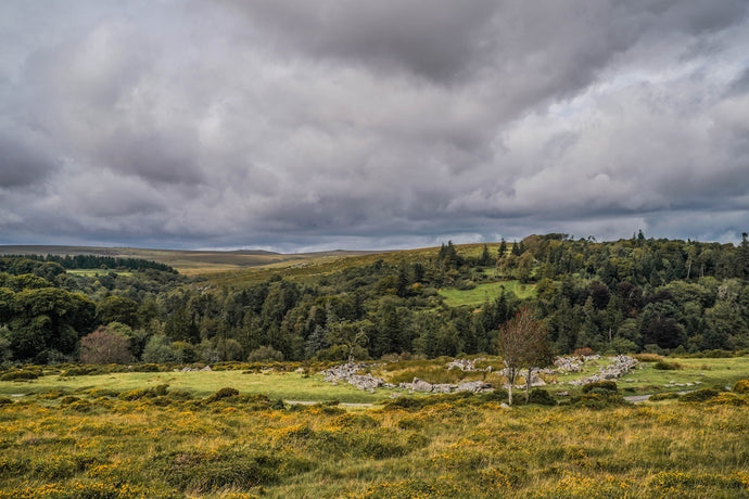 Dartmoor on September 4th 2020